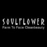 50% OFF On Hair Routine
